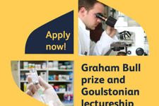 Graham Bull Prize Image